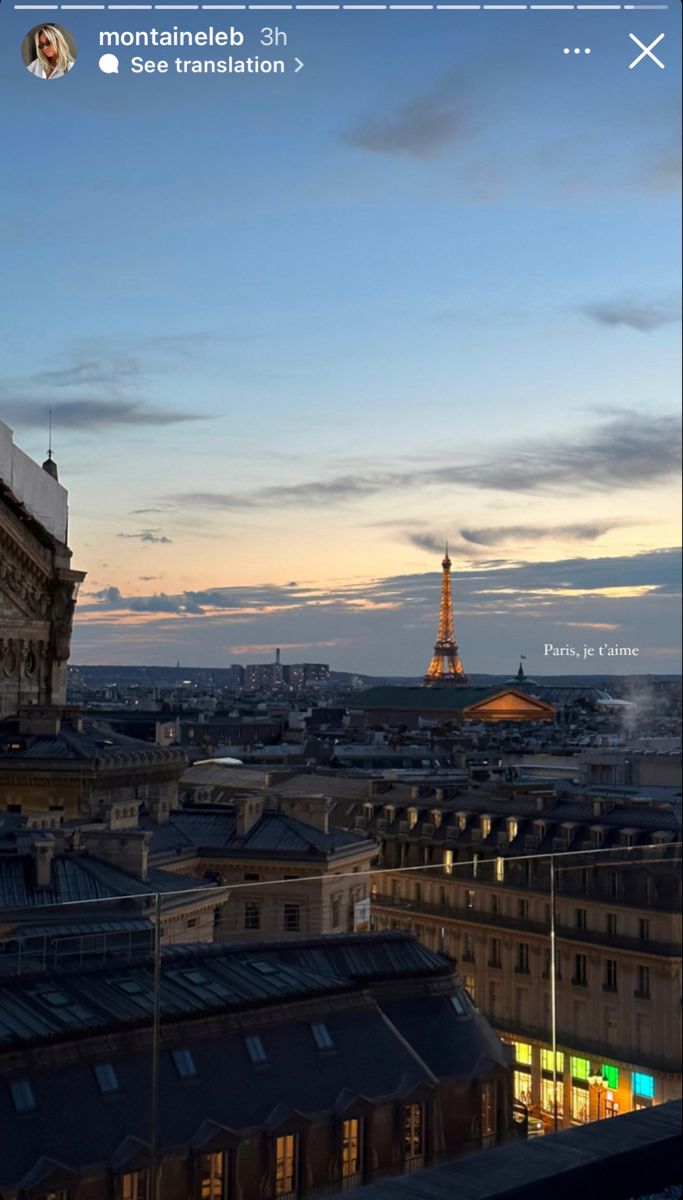 the eiffel tower towering over paris at dusk