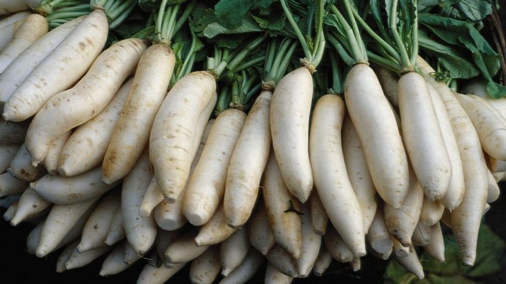 several bunches of white radishes are stacked on top of each other