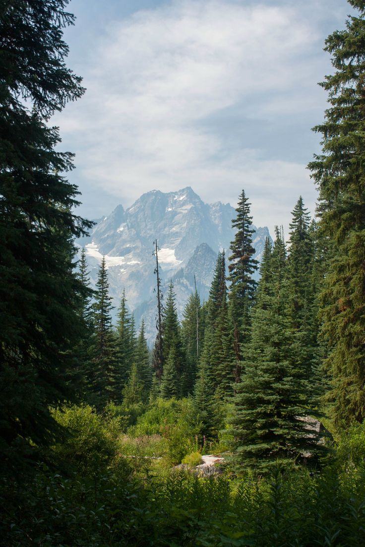 the mountains are covered in snow and trees