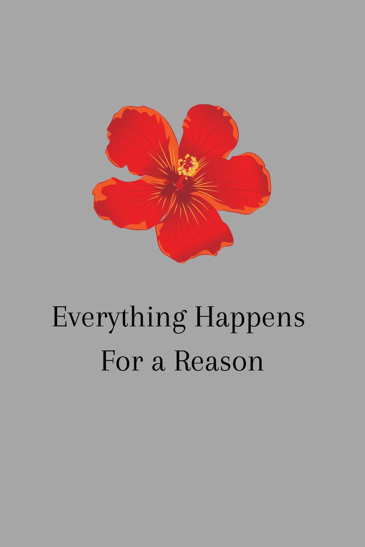 a red flower with the words everything happens for a reason