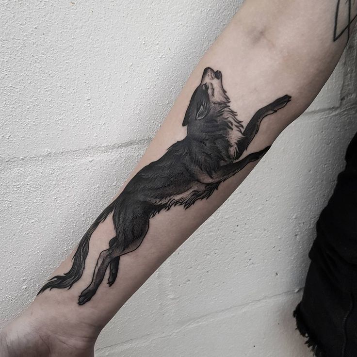 a wolf tattoo on the left forearm and arm, with an arrow in the middle