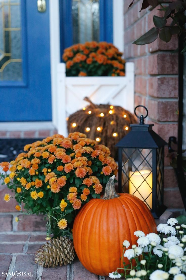 an orange pumpkin sitting next to some flowers and a lantern