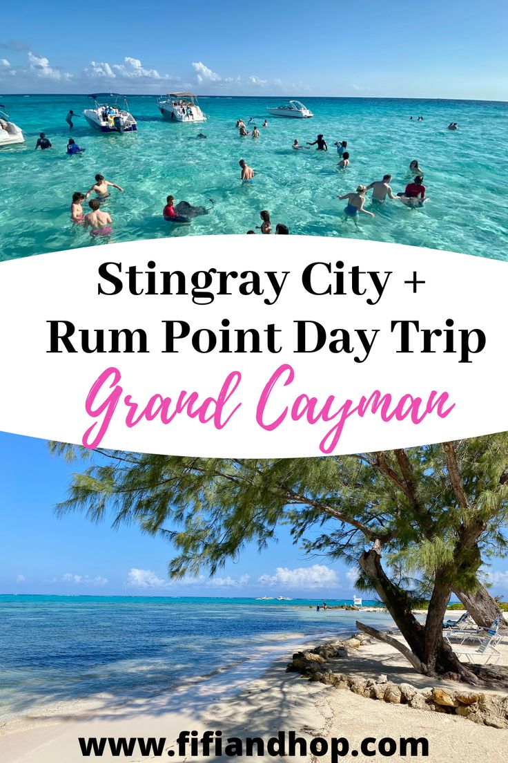 the beach with people swimming in it and text overlay reads stingray city rum point day trip grand cayon