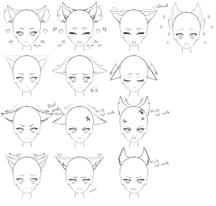 an image of how to draw cats with different angles and hair styles on the head