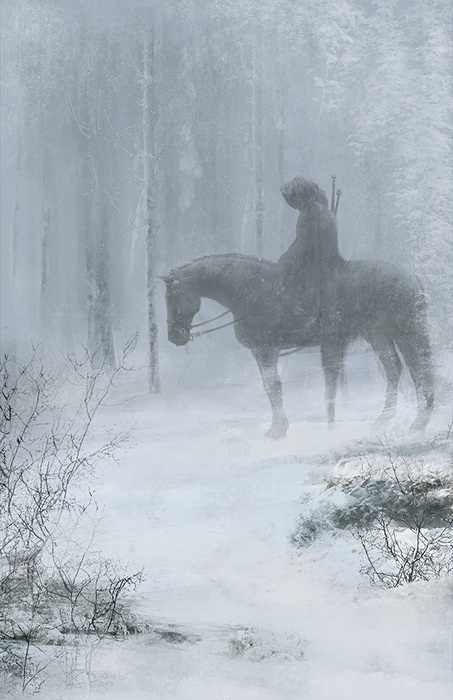 a man riding on the back of a horse through a forest filled with trees covered in snow