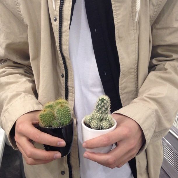 a man holding a potted cactus in his hands