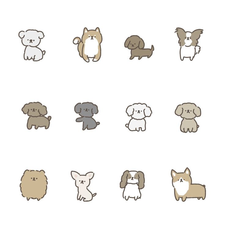 different types of dogs are shown in this image