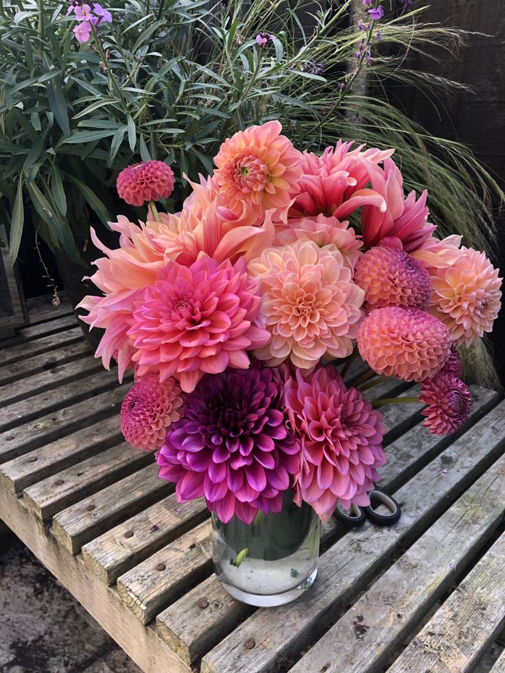 a vase filled with pink and purple flowers on top of a wooden bench next to plants