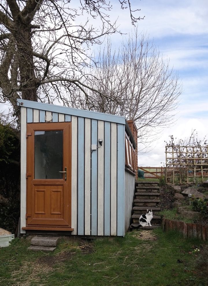 a small blue and white shed sitting on top of a grass covered field next to a tree