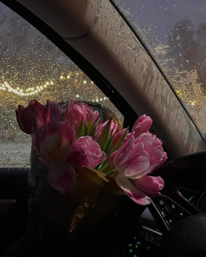 pink tulips sit in the front seat of a car on a rainy day