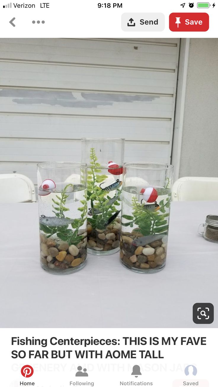 three vases filled with plants and rocks sitting on top of a white tablecloth