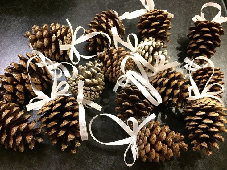 several pine cones with white ribbons tied around them