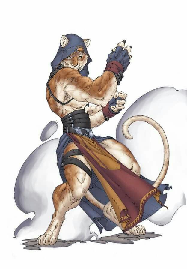 a drawing of a cat dressed as a warrior