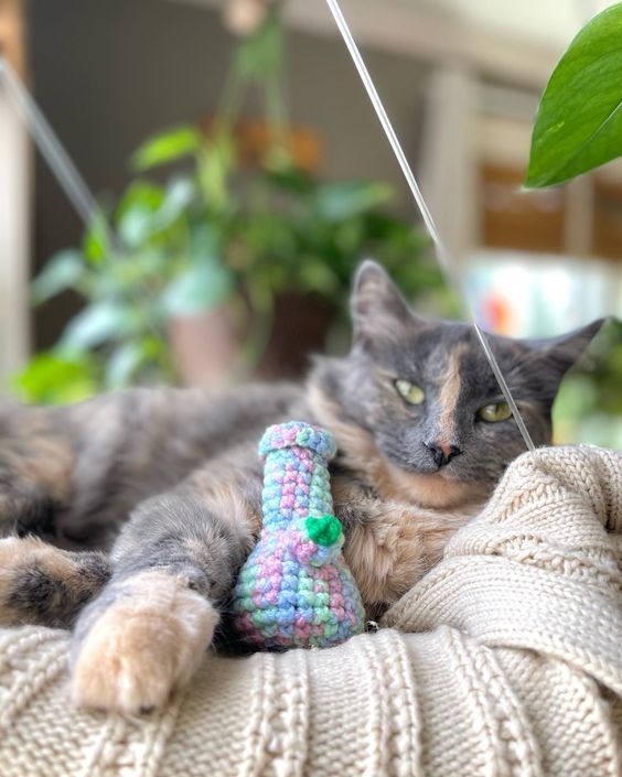 a cat laying on top of a couch next to a green plant and a stuffed toy