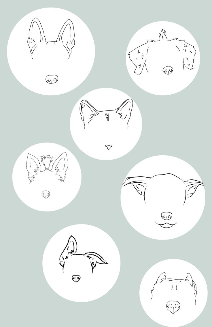 four different types of animal heads drawn on paper