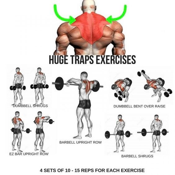 an image of a man's back and shoulders with the words huge traps exercises