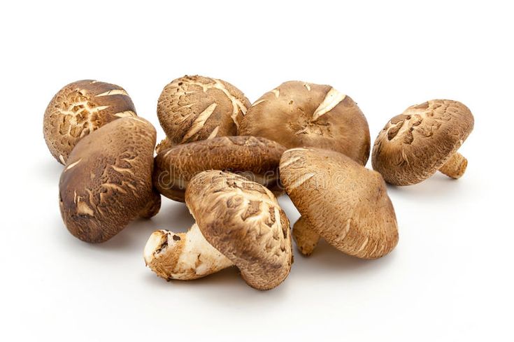 a bunch of mushrooms on a white background stock images and clippings are included in this image