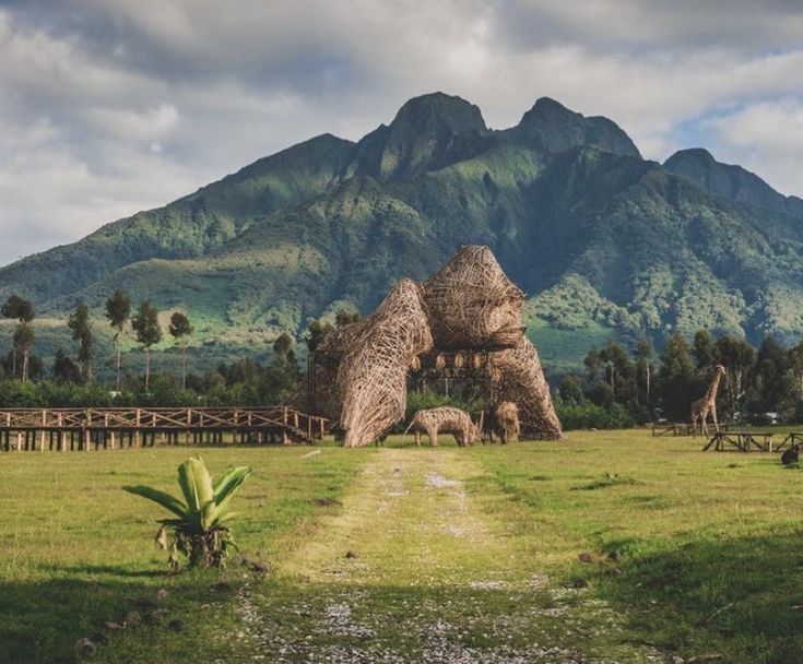 a grassy field with mountains in the background