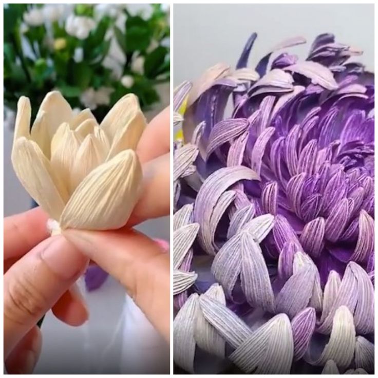 two pictures, one with purple flowers and the other with white flowers