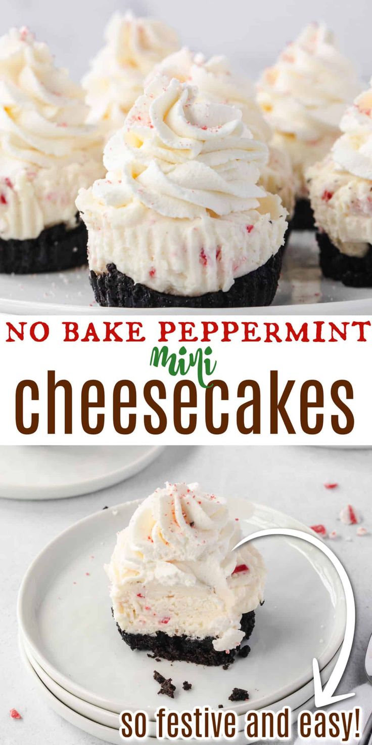 no bake peppermint mini cheesecakes are so festive and easy to make