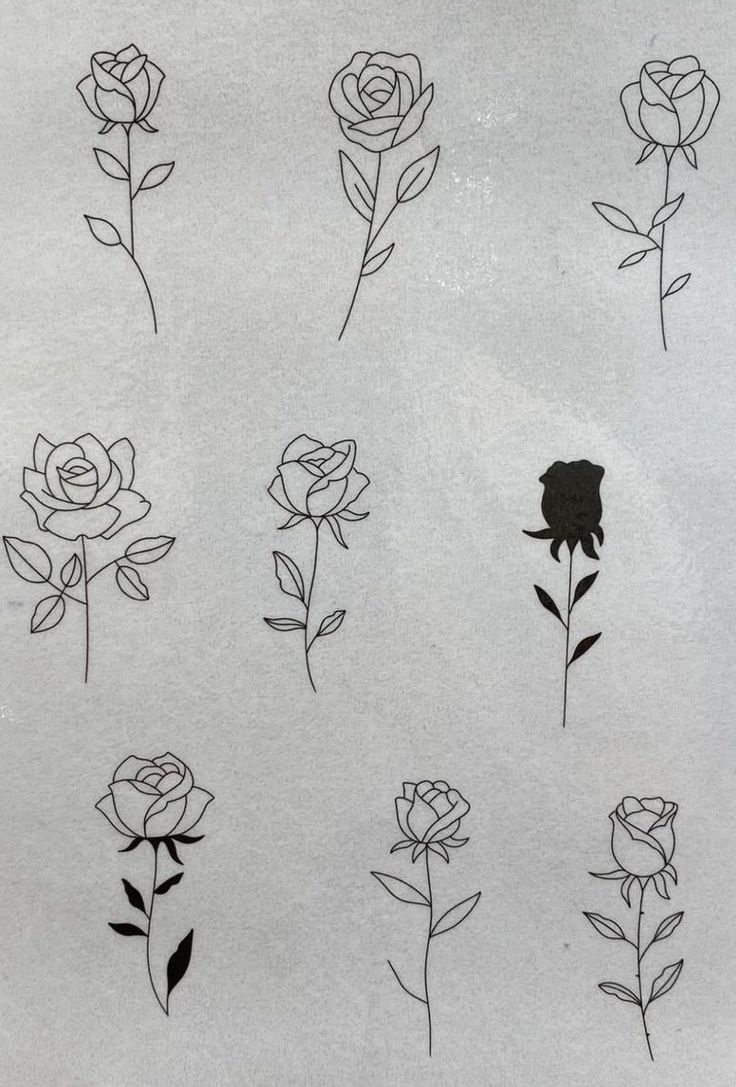 six different types of flowers drawn on paper