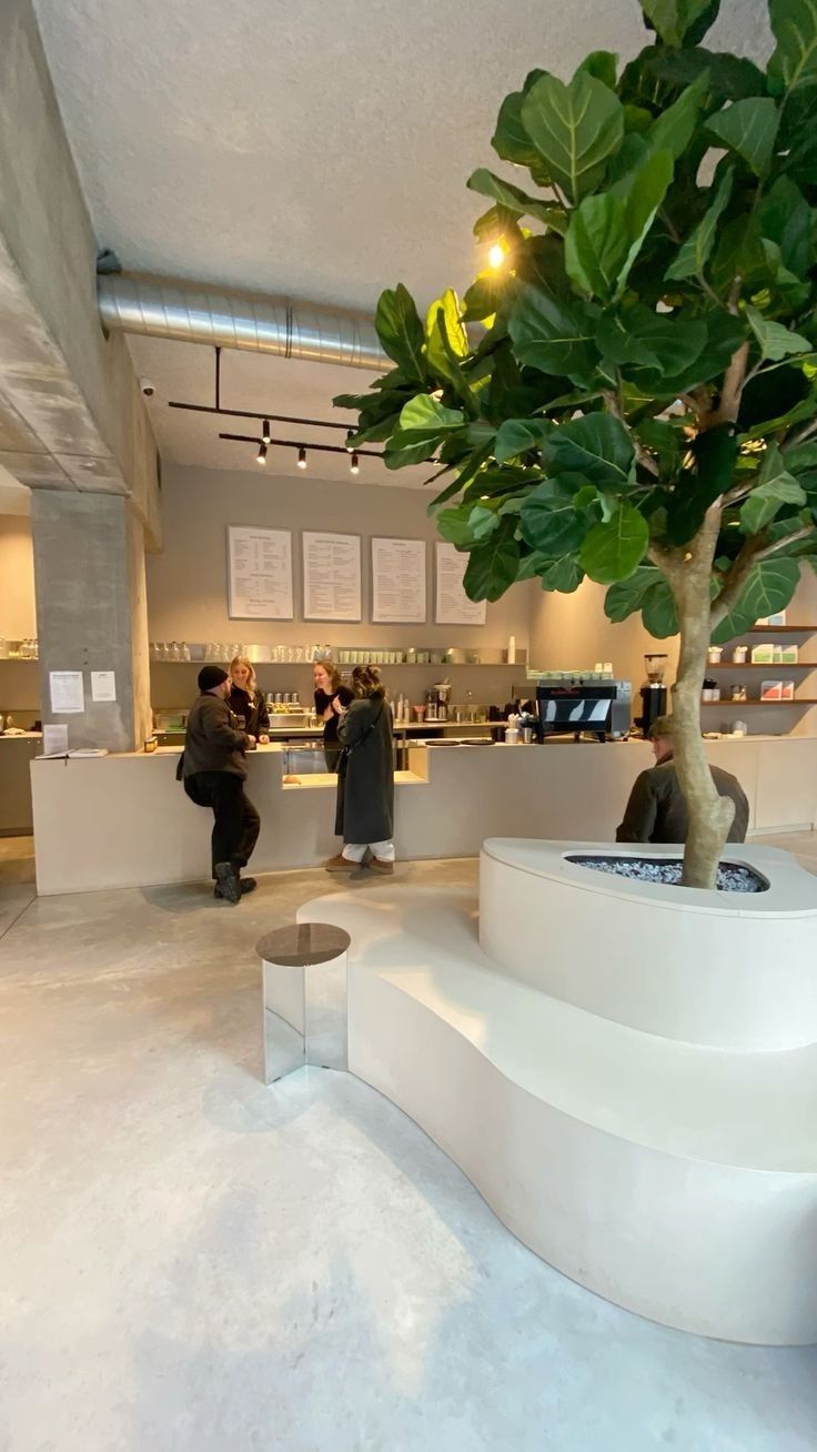 two people standing in front of a counter with a plant on it and one person taking a photo