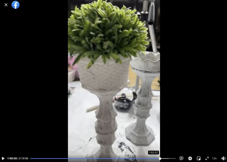 a white vase filled with green plants on top of a table