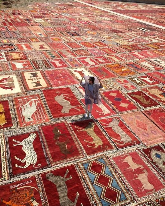 a man standing on top of a rug covered in animals