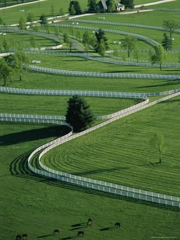 an aerial view of a green field with white fences