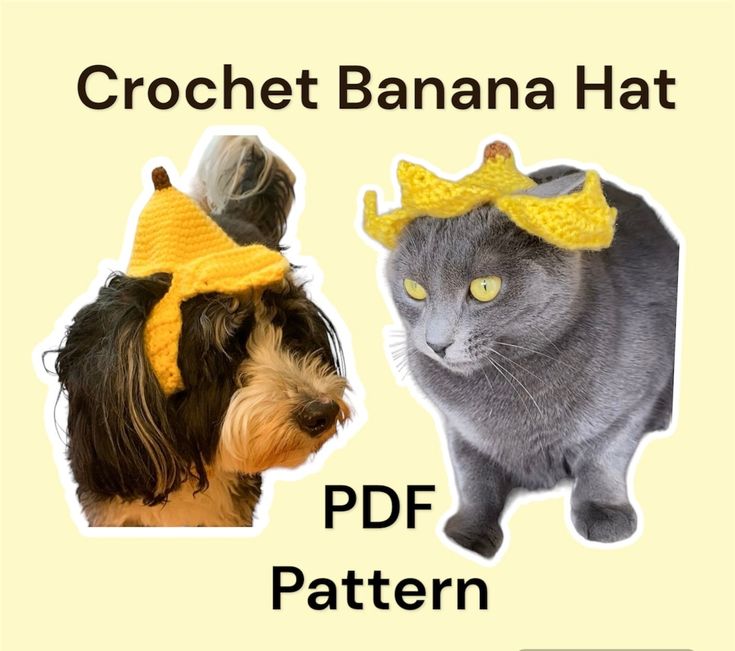 two cats and a dog wearing crochet banana hats with the caption pdf pattern