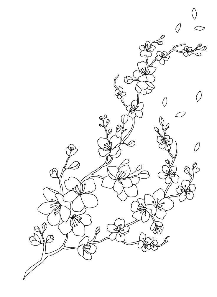 a line drawing of flowers on a white background