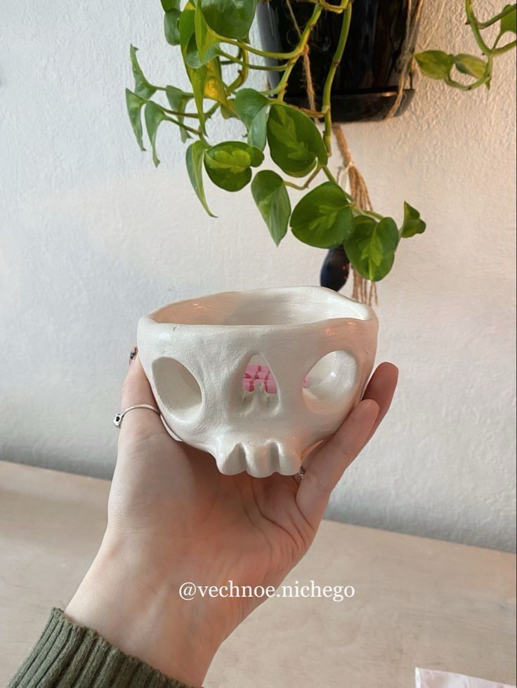 a hand holding a white ceramic skull planter