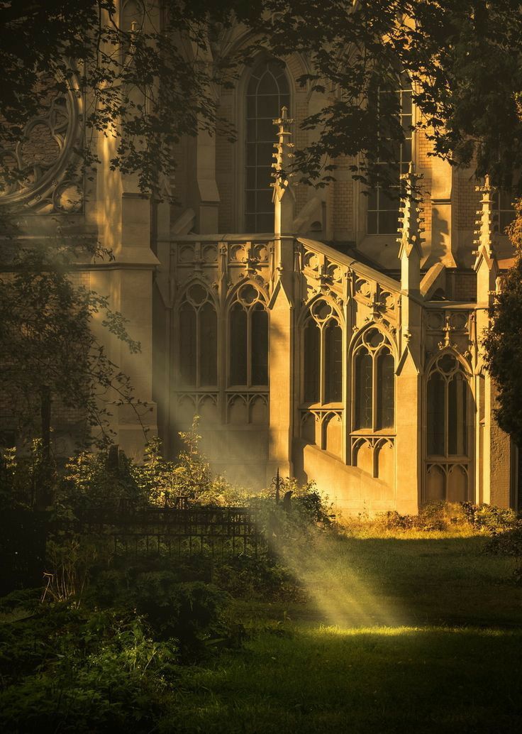 the sun shines brightly through the trees in front of an old castle like building