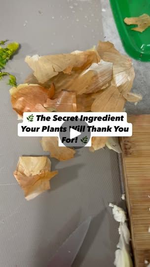 a pile of wood chips sitting on top of a wooden table next to a green bowl