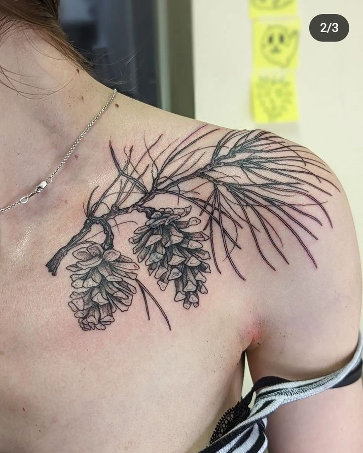 the back of a woman's shoulder with pine cones and branches tattooed on it