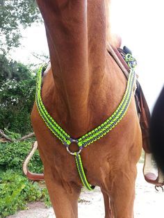 a close up of a horse wearing a harness