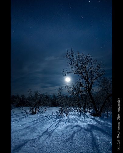 the full moon shines brightly in the night sky over a snowy field with bare trees