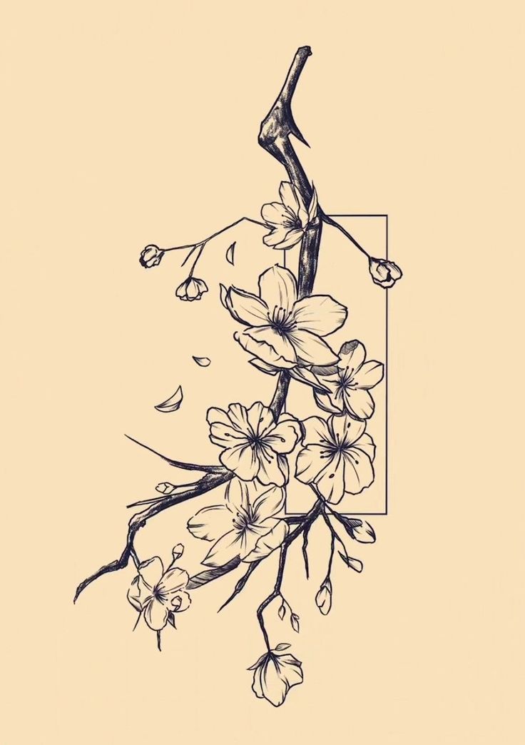 a drawing of a branch with flowers on it and a square frame in the middle