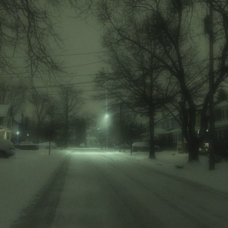 the street is covered in snow at night