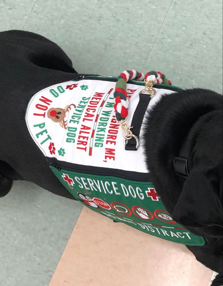 a black dog wearing a service dog vest