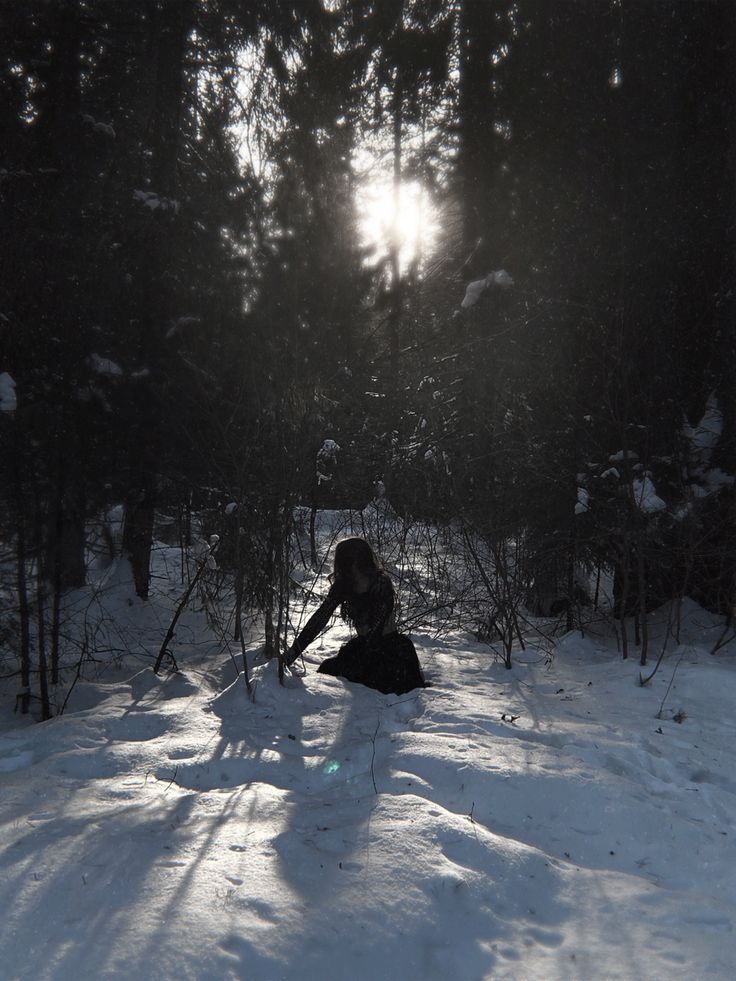 a person sitting in the snow near some trees and sun shining through the trees behind them