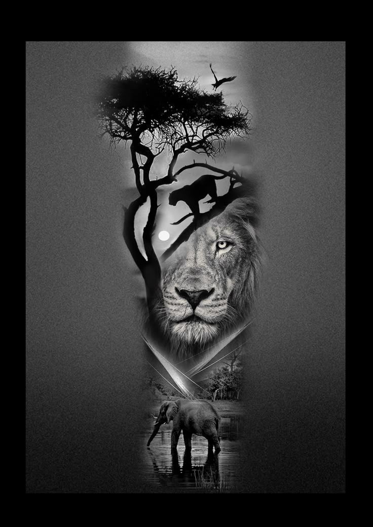 a lion and two giraffes are depicted in this black and white photo