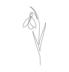 the outline of a flower on a white background