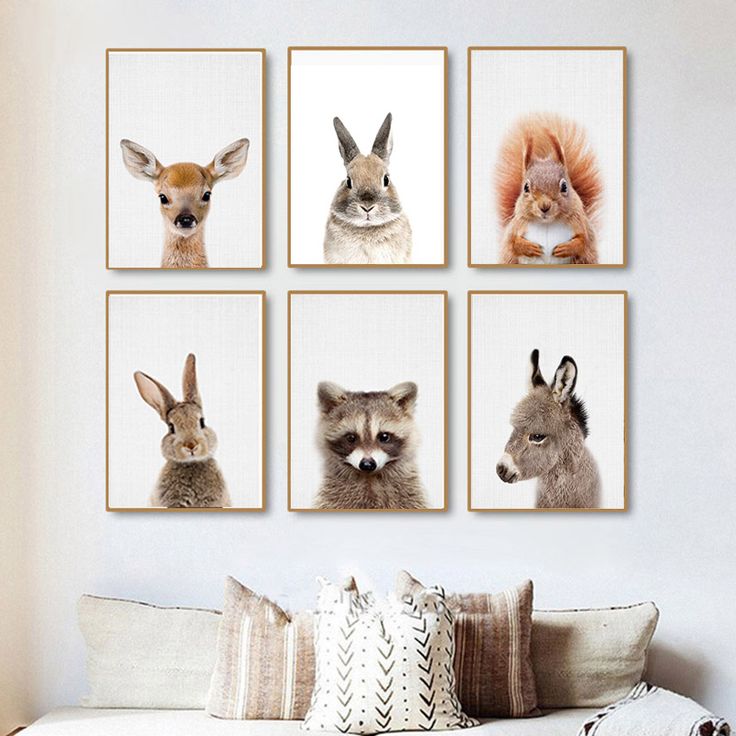 four pictures of animals are hanging on the wall above a bed in a room with white walls