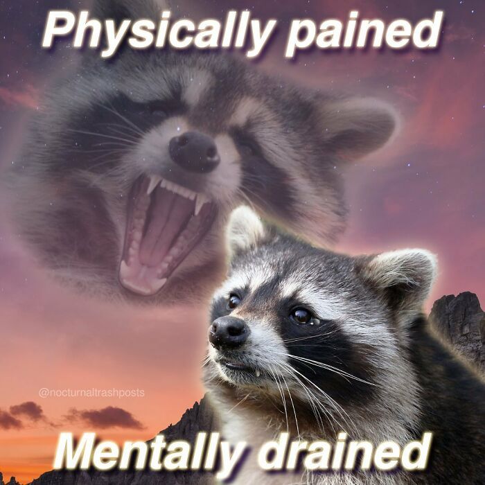 two raccoons with their mouths open and the caption says, physically trained mentally drained