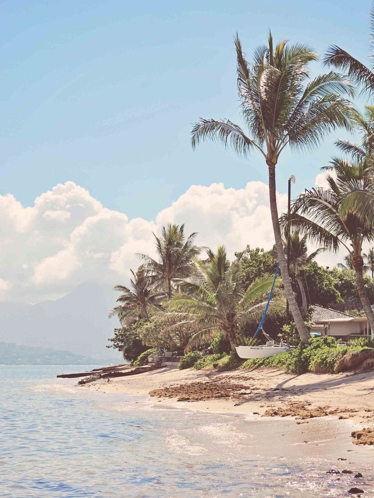 the beach is lined with palm trees and houses