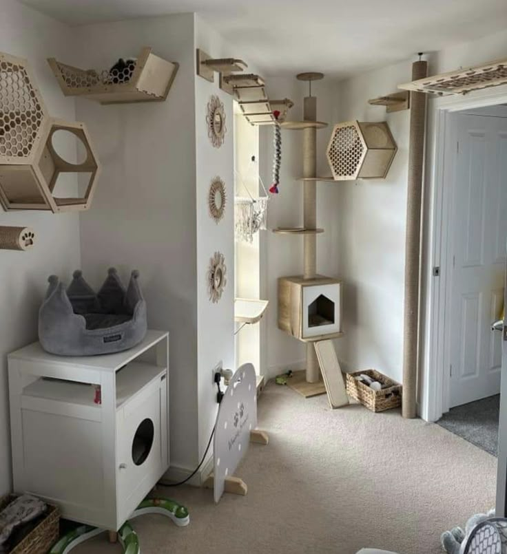 a room filled with lots of cat furniture and shelves on the wall next to a door