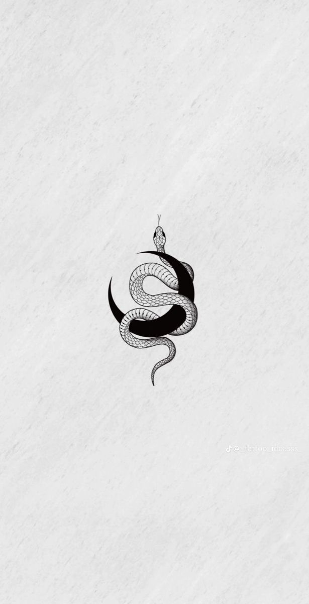 a black and white snake hanging from a chain