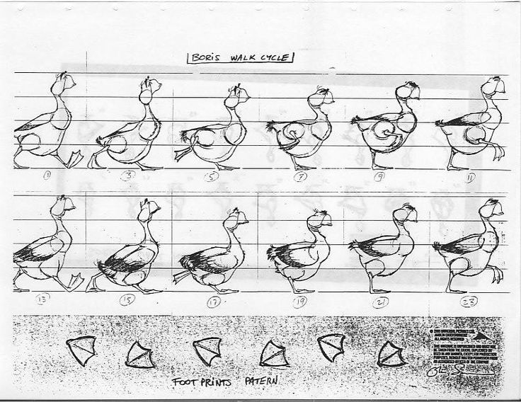 an old drawing shows how to draw different kinds of birds with numbers and letters on them