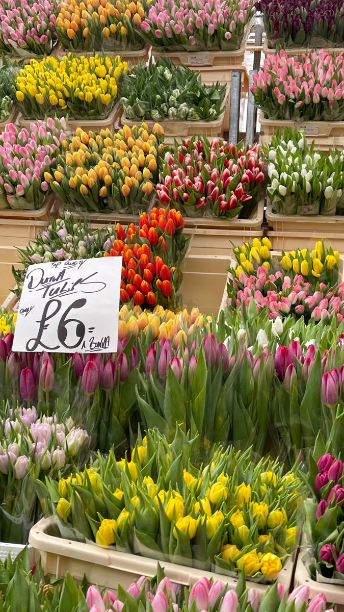 tulips and other flowers are for sale in a flower shop on the iphone